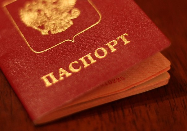 отличие биометрического паспорта от обычного